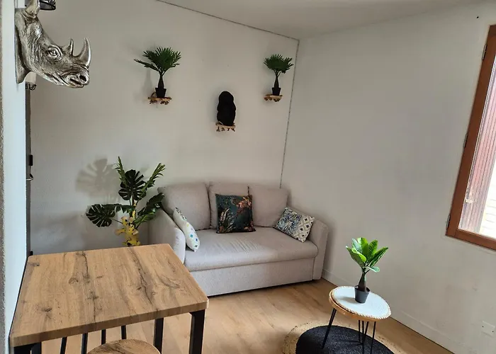 Le Jungle Appart, Centre Apartment Narbonne