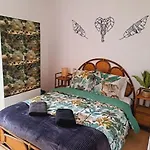 Le Jungle Appart, Centre Narbonne