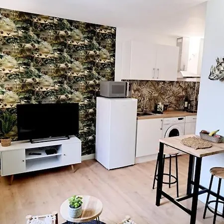 Le Jungle Appart, Centre 나르본