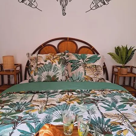 Le Jungle Appart, Centre * 나르본