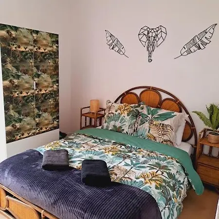 Le Jungle Appart, Centre Narbona