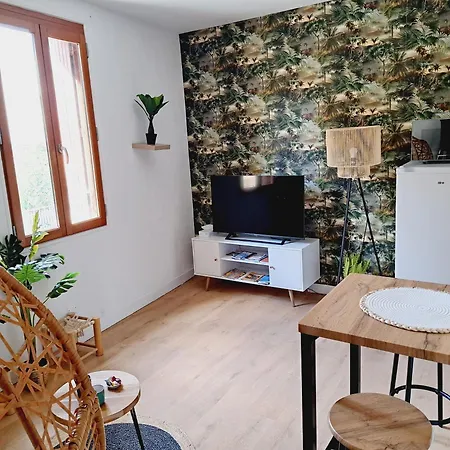 Le Jungle Appart, Centre