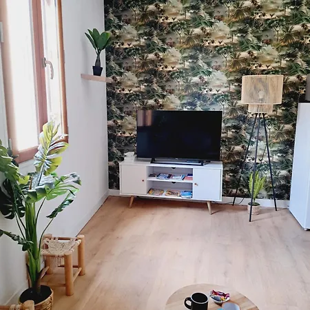 아파트 Le Jungle Appart, Centre *