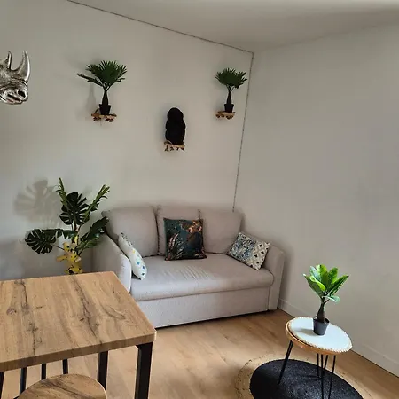 Le Jungle Appart, Centre Apartment Narbonne