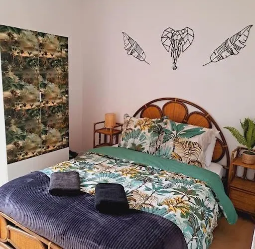 Le Jungle Appart, Centre 나르본