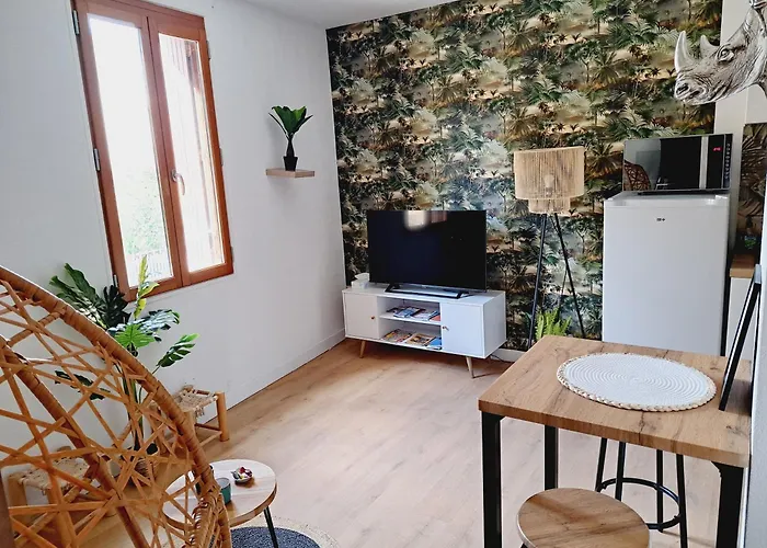 Le Jungle Appart, Centre